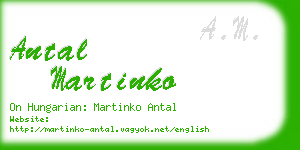 antal martinko business card